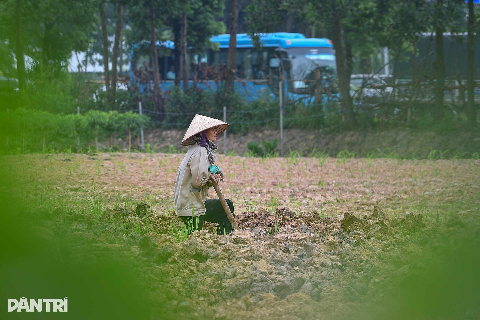 Đông Anh có gì trước ngày lên quận? - 14 Đông Anh có gì trước ngày lên quận? - 14