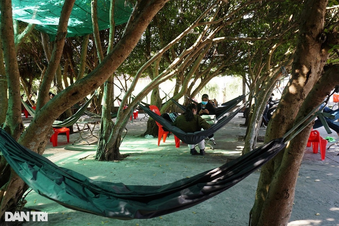 Độc đáo quán cà phê mái lá chính hiệu, mát như điều hòa - 3 Độc đáo quán cà phê mái lá chính hiệu, mát như điều hòa - 3