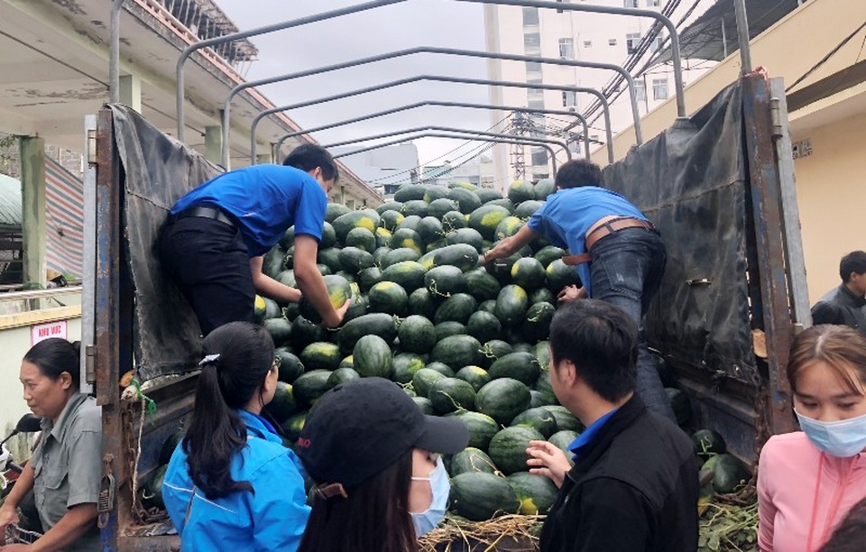 Đe dọa, đòi tiền bảo kê khi “giải cứu” dưa giúp nông dân