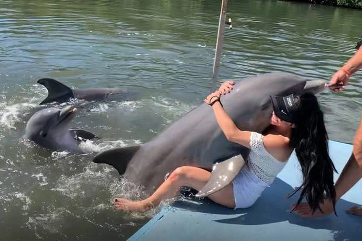 Bất ngờ khi cá heo chơi đùa cùng trăn Anaconda - 2 Bất ngờ khi cá heo chơi đùa cùng trăn Anaconda - 2