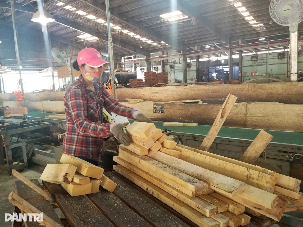 Gỗ Việt tìm khách hàng mới, mở rộng thị trường xuất khẩu - 2
