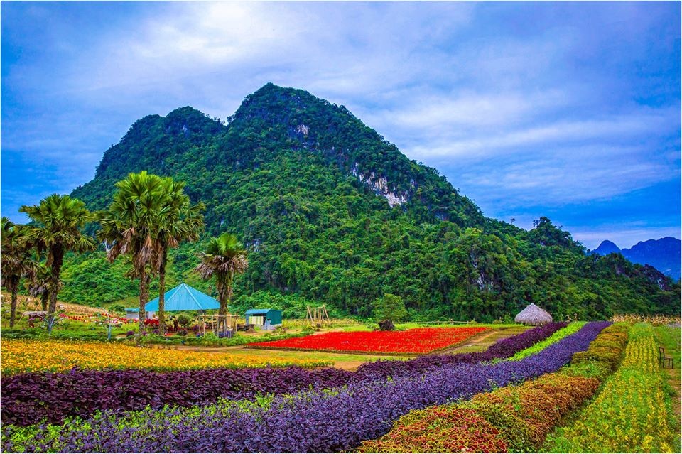 Tiềm năng thu hút đầu tư du lịch - hạ tầng Yên Bái từ những kỳ quan - 5 Tiềm năng thu hút đầu tư du lịch - hạ tầng Yên Bái từ những kỳ quan - 5