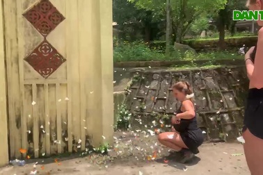 Triệu cánh bướm rập rờn "níu chân" khách ở rừng già Cúc Phương