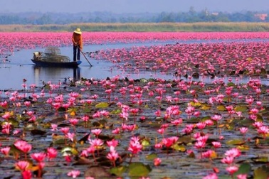 5 điểm đến không thể bỏ qua trong tháng 11