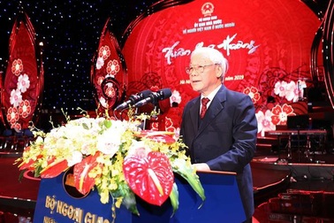 Tổng Bí thư, Chủ tịch nước: Không phải ngẫu nhiên không khí phấn khởi lan toả khắp Việt Nam