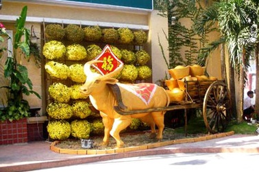 Ngắm trâu Kỷ Sửu trên đường phố Sài Gòn