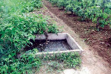 Truy bắt phạm nhân trốn tù: Vỏ quýt dày và móng tay nhọn