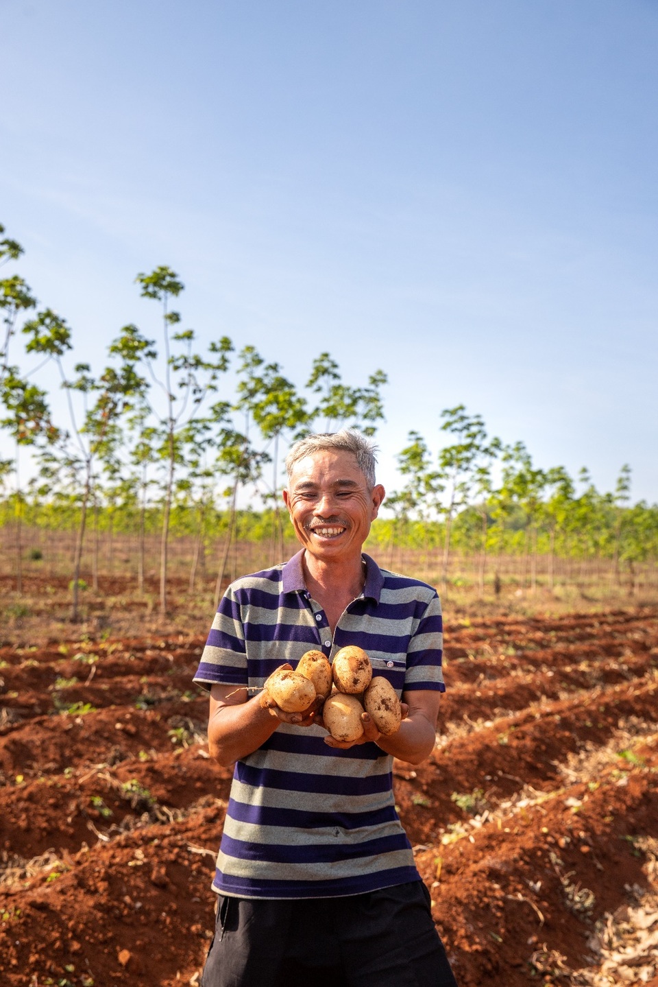 Vụ khoai tây đầu tiên của PepsiCo Việt Nam tại Gia Lai vượt ngưỡng kỳ vọng - 2 Vụ khoai tây đầu tiên của PepsiCo Việt Nam tại Gia Lai vượt ngưỡng kỳ vọng - 2
