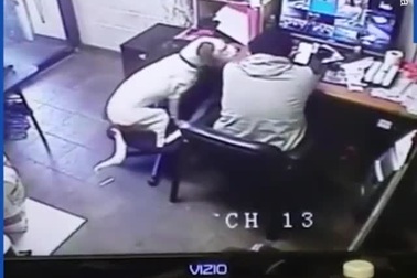 Màn thể hiện tình cảm của chú chó với chủ của mình cực đáng yêu