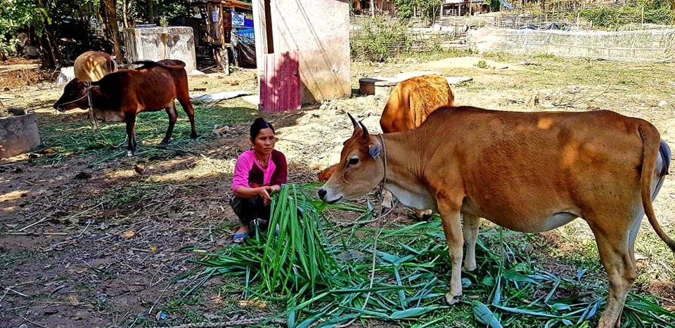 Vì sao người phụ nữ góa chồng, nuôi 5 con viết đơn xin ra khỏi hộ nghèo? - 5 Vì sao người phụ nữ góa chồng, nuôi 5 con viết đơn xin ra khỏi hộ nghèo? - 5