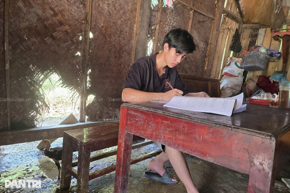 Người cha ôm khối u to như quả bưởi, mong từng đồng công chăn trâu của con - 4 Người cha ôm khối u to như quả bưởi, mong từng đồng công chăn trâu của con - 4