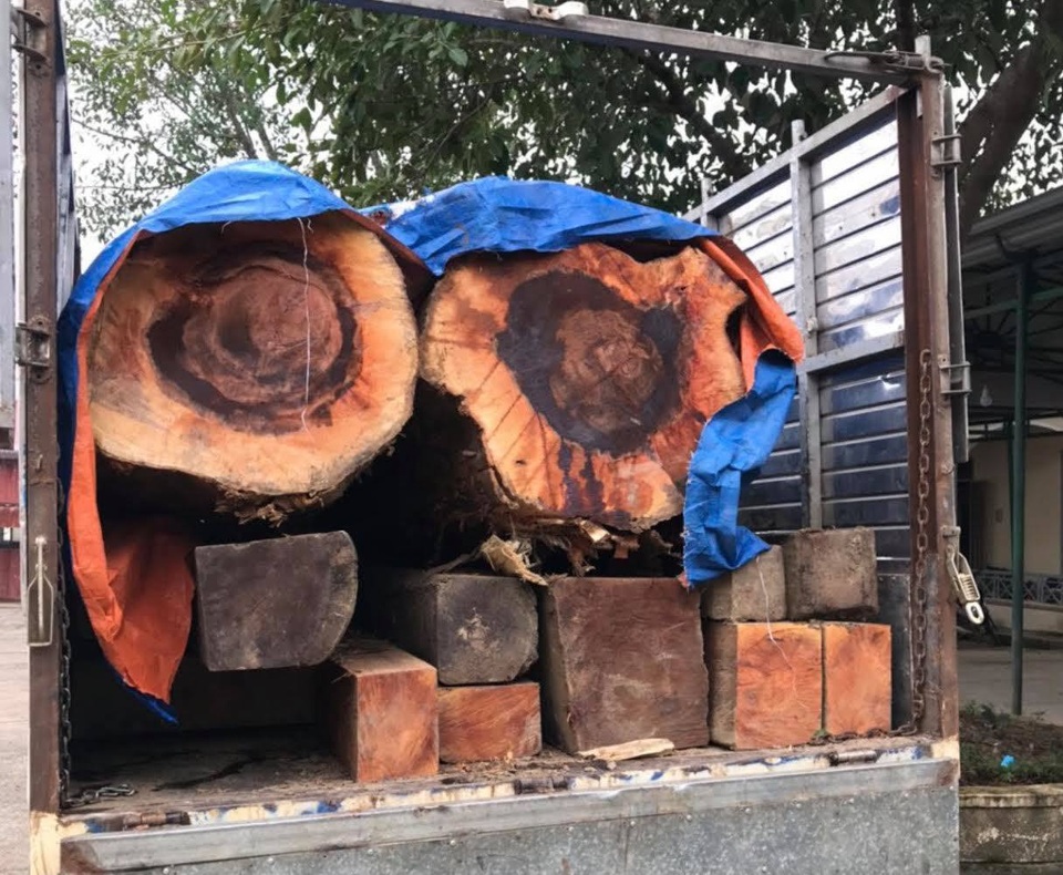 Bị phát hiện chở gỗ lậu, nhóm đối tượng vứt tang vật bỏ chạy - 1 Bị phát hiện chở gỗ lậu, nhóm đối tượng vứt tang vật bỏ chạy - 1