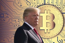 Dưới thời Trump 2.0, mỗi ngày có 88 triệu phú bitcoin ra đời
