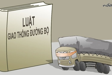 Những chiếc xe đi lùi trên đường cao tốc