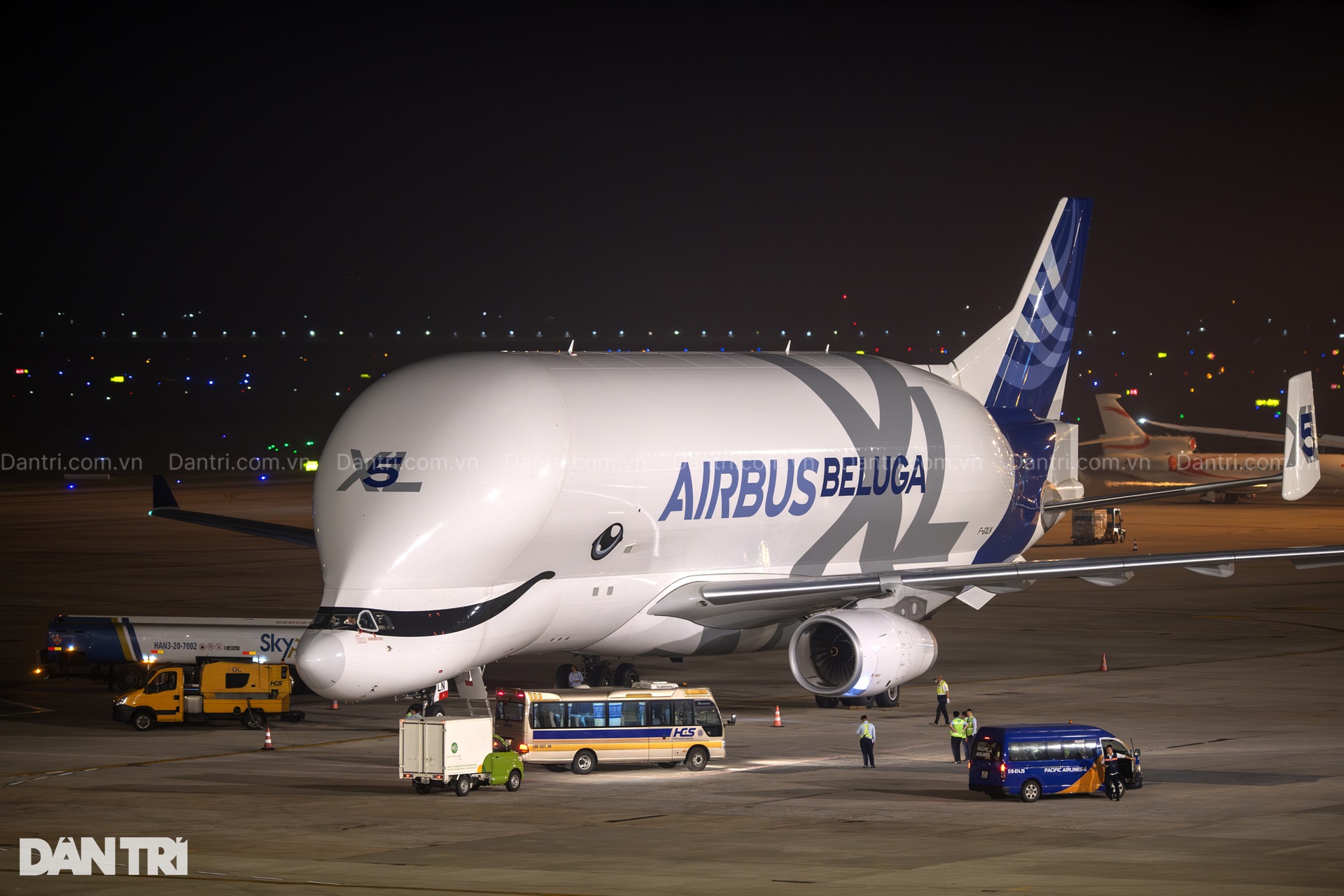Siêu máy bay vận tải Airbus Beluga XL cá voi trắng lần đầu đến Việt Nam - 2 Siêu máy bay vận tải Airbus Beluga XL cá voi trắng lần đầu đến Việt Nam - 2
