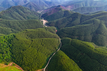 Khu rừng "đẹp như tranh" dự kiến xây công viên nghĩa trang 3.865 tỷ đồng