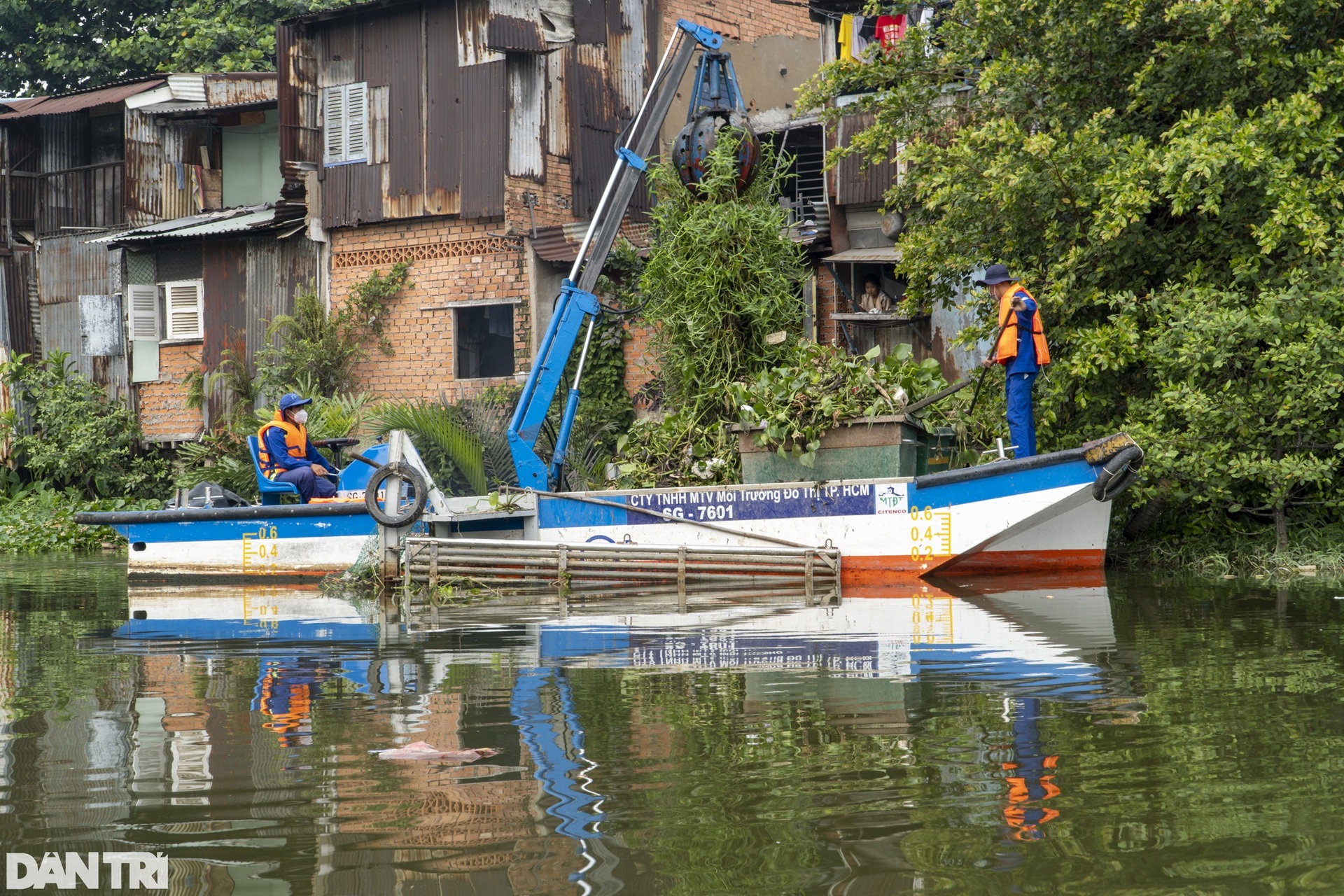 Đội quân đặc biệt giữ màu xanh cho kênh Nhiêu Lộc - Thị Nghè - 7