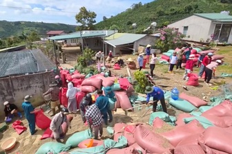 Ô tô lật trên đèo, người dân Lâm Đồng chung tay gom hàng giúp tài xế