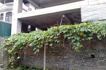 Đấu giá tài sản: Có hiện tượng thông đồng, dìm giá, mang tính "xã hội đen"