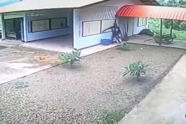 Tên trộm ngu ngốc chật vật đột nhập ga-ra mở toang hoác từ cửa sổ