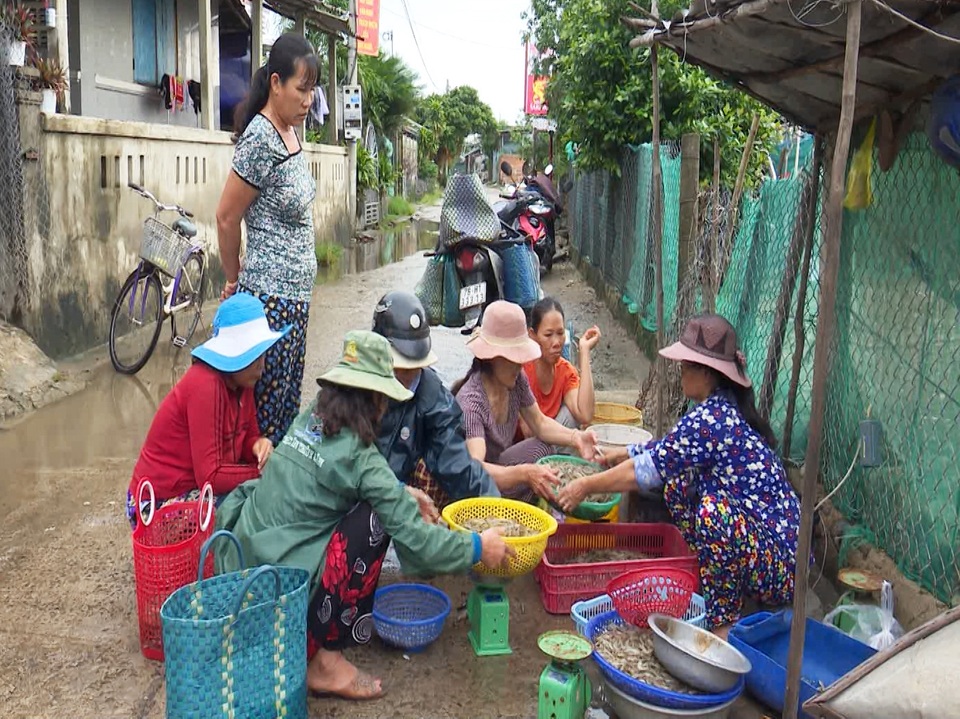 Tôm đất xuất hiện dày đặc sau lũ, người dân kiếm hơn nửa triệu đồng mỗi đêm - 2 Tôm đất xuất hiện dày đặc sau lũ, người dân kiếm hơn nửa triệu đồng mỗi đêm - 2