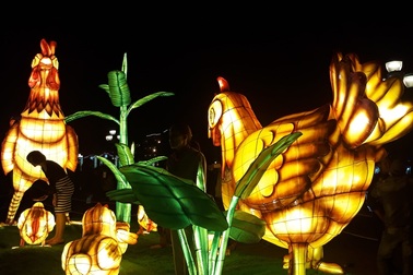 “Lạc lối” ở xứ sở đèn lồng Hội An