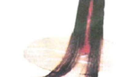 Cô gái có mái tóc dài 4,2m