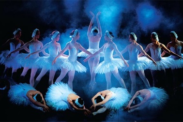 Trình diễn vở ballet "Hồ Thiên Nga" trên sân khấu nổi giữa hồ nước