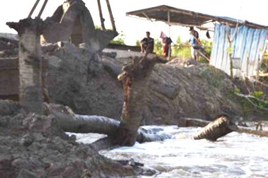 Vỡ đê bao, hàng chục ha lúa và hoa màu bị ảnh hưởng