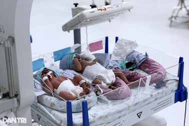 Khi các cặp vợ chồng được quyết định số con