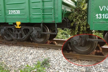 Lao vào đoàn tàu đang chạy, cô gái trẻ bị cán nát chân tay