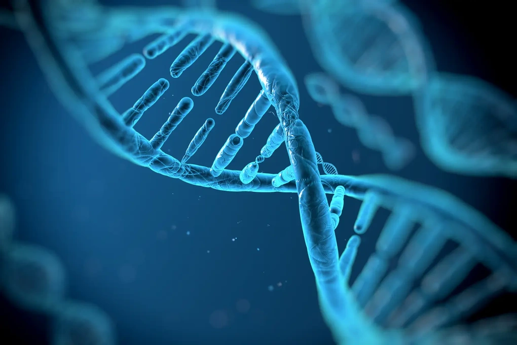 Debata o hypotéze „mimozemské DNA“ u lidí - 2 Tranh luận về giả thuyết “DNA người ngoài hành tinh” trong con người - 2