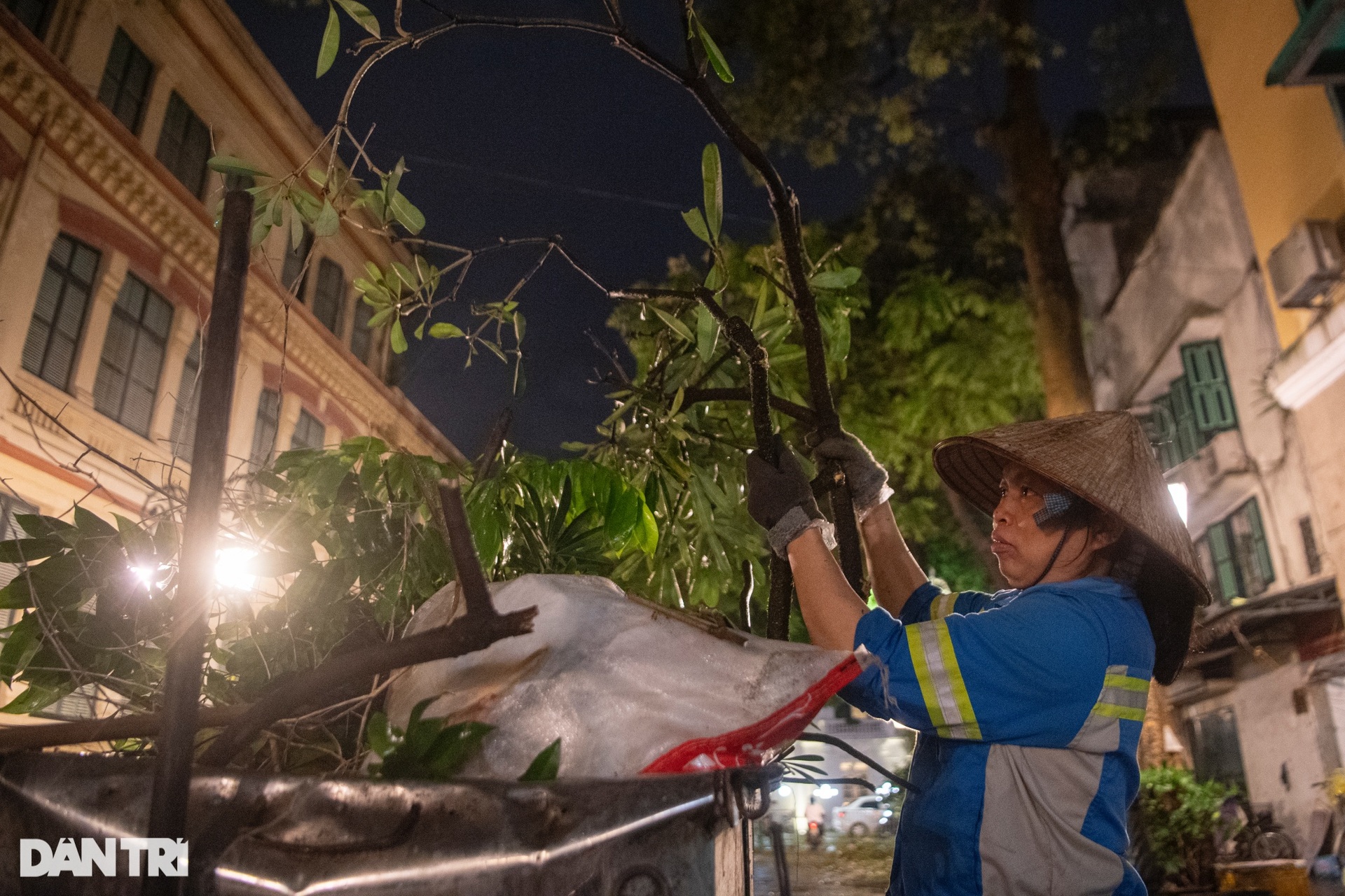 Hàng loạt cây xanh bật gốc, gãy cành sau cơn mưa dông lớn ở Hà Nội - 10 Hàng loạt cây xanh bật gốc, gãy cành sau cơn mưa dông lớn ở Hà Nội - 10