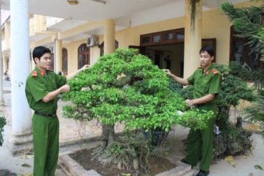 Bắt được đối tượng cướp tài sản, Công an tỉnh Hòa Bình vẫn tạm đình chỉ điều tra