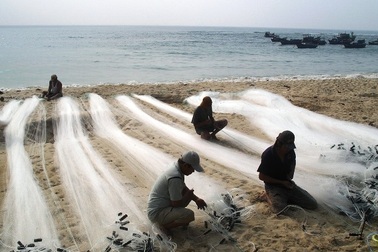 Tất bật mùa lưới 3 cảng của ngư dân vùng biển