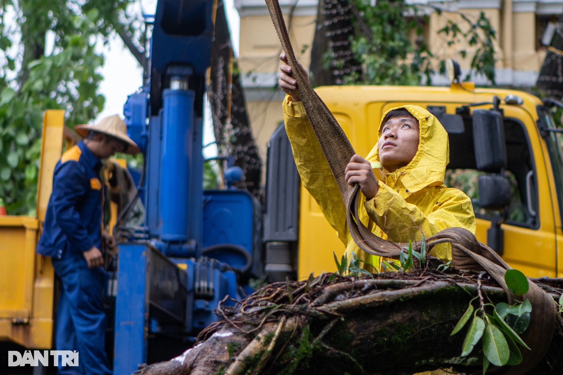 Hà Nội khẩn trương thu dọn cây đổ, khắc phục hậu quả sau bão - 9 Hà Nội khẩn trương thu dọn cây đổ, khắc phục hậu quả sau bão - 9
