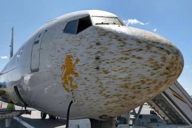 Máy bay phải chuyển hướng đột ngột vì gặp phải đàn châu chấu khổng lồ