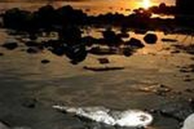 Đằng sau vụ ô nhiễm nguồn nước ở Cáp Nhĩ Tân