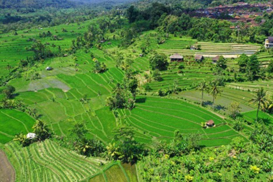 Xu hướng du lịch nông nghiệp và tiềm năng của Đông Nam Á - 4 Xu hướng du lịch nông nghiệp và tiềm năng của Đông Nam Á - 4