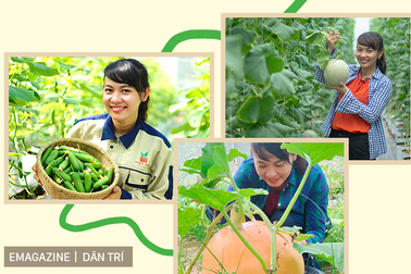 Nữ thạc sỹ xinh đẹp rời "phòng lạnh" về làm nông dân trồng dưa sạch
