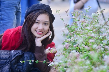 Bạn trẻ háo hức chụp ảnh với hoa tam giác mạch lần đầu khoe sắc ở Hà Nội