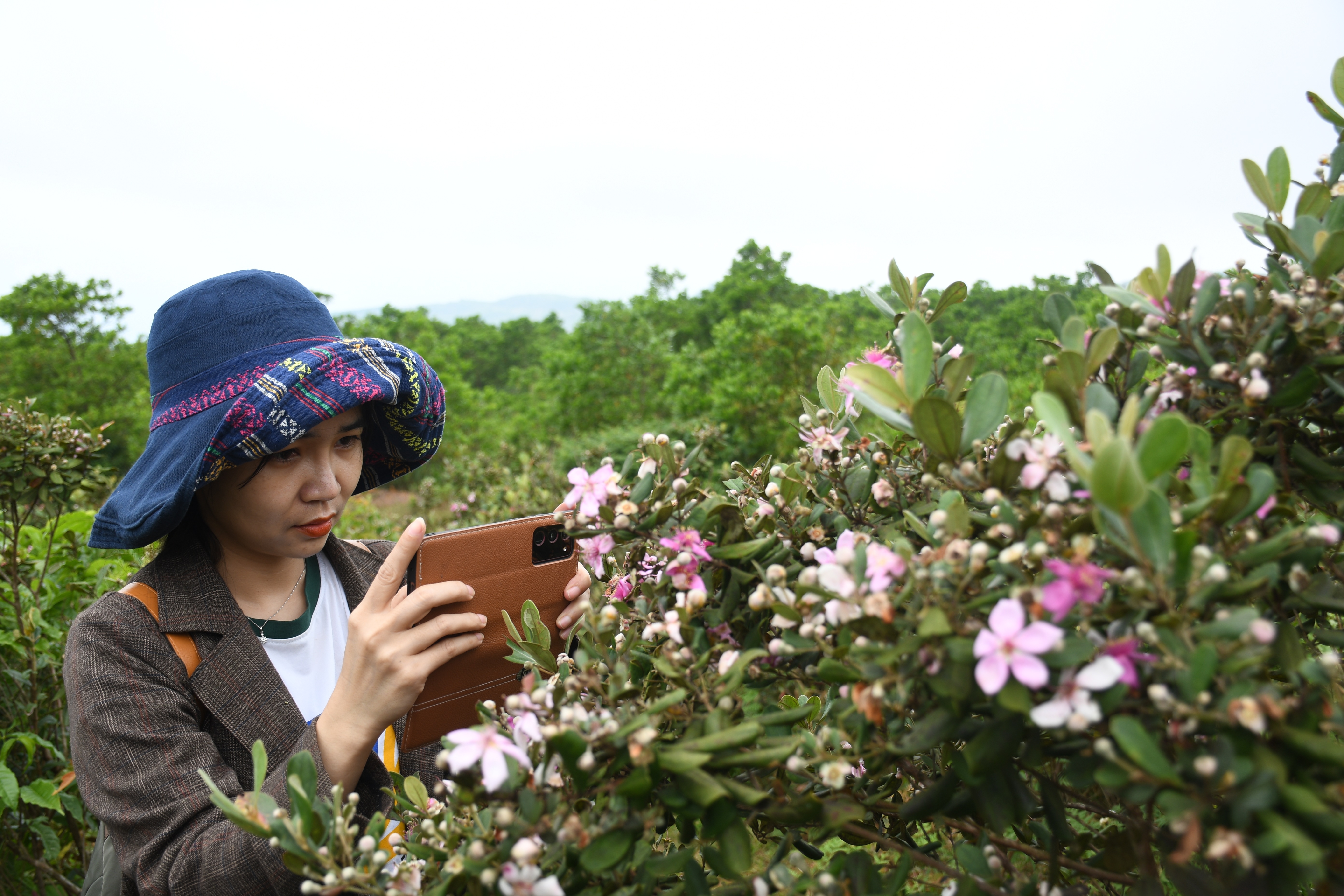 Đẹp ngỡ ngàng mùa hoa sim trên thảo nguyên Bùi Hui - 6 Đẹp ngỡ ngàng mùa hoa sim trên thảo nguyên Bùi Hui - 6