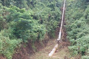 Điều tra nghi vấn phun thuốc diệt cỏ khiến 26 người đi cấp cứu ở Điện Biên