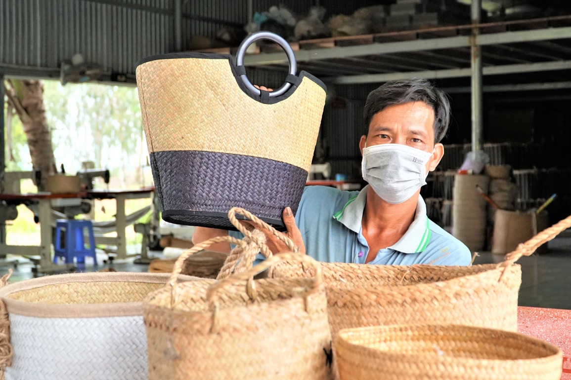 Đưa cỏ bàng nơi rốn phèn xuất ngoại, bỏ túi nửa tỷ đồng mỗi năm - 4