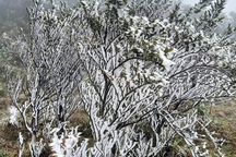 Băng tuyết đang phủ trắng đỉnh Fansipan