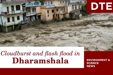 Mưa lũ cuốn trôi xe cộ, nhà cửa ở Ấn Độ