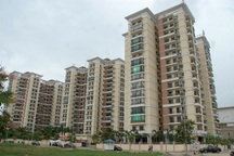 VNREA: Giá nhà đang tăng trở lại từ 5  -15%