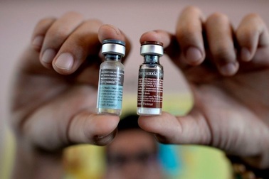 Tiêm vắc xin phòng sốt xuất huyết có thể khiến bệnh nặng hơn?