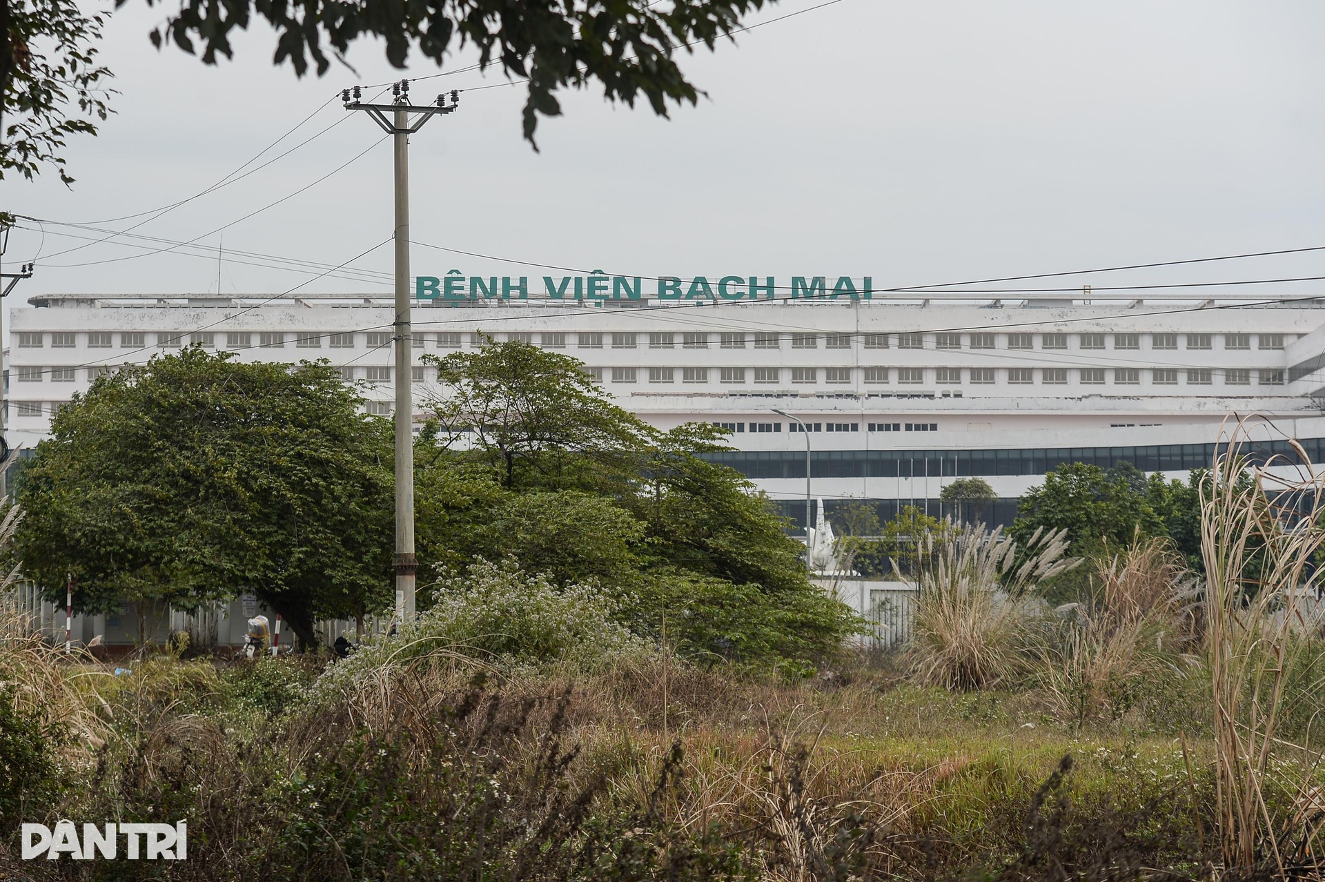 Bệnh viện Việt Đức, Bạch Mai cơ sở 2 cỏ mọc um tùm, cao quá đầu người - 3 Bệnh viện Việt Đức, Bạch Mai cơ sở 2 cỏ mọc um tùm, cao quá đầu người - 3