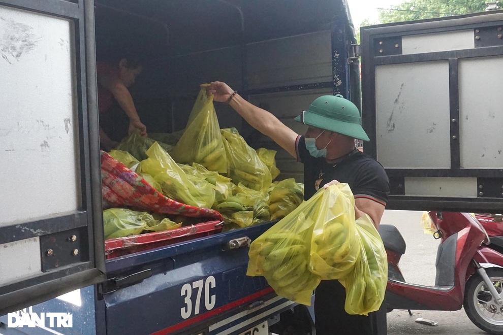 Lo phong tỏa, tiểu thương chợ đầu mối lớn nhất Nghệ An cấp tập sơ tán hàng - 4 Lo phong tỏa, tiểu thương chợ đầu mối lớn nhất Nghệ An cấp tập sơ tán hàng - 4